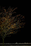 Mon Dec 14 19:25:42 2009