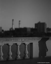 The Charles