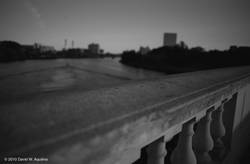 The Charles