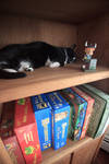 Linus, Fearsome Protector of the Games - Sun Jul 19 14:32:34 2009