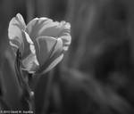 20100501-IMG 5556