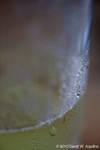Wed May 26 17:58:00 2010