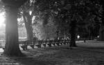Public Garden