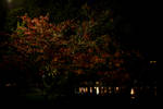 Sun Oct 25 18:32:24 2009