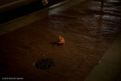 Sat Oct 16 20:36:17 2010