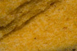 Sun Sep 21 22:19:17 2008