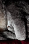 Fri Sep 11 22:38:39 2009