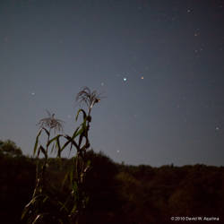 Moonlight (Part I)