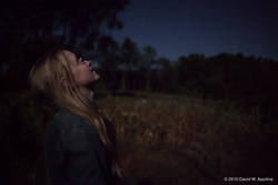 Moonlight (Part II)