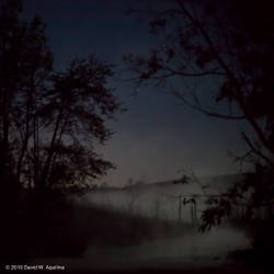 Moonlight (Part III)