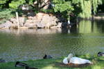 Sun Jun  1 16:56:22 2008