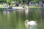 Sun Jun  1 16:57:12 2008