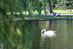 Sun Jun  1 16:58:35 2008