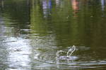Sun Jun  1 17:17:45 2008