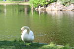 Sun Jun  1 17:24:06 2008