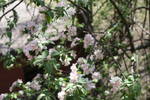 2008-05-07
