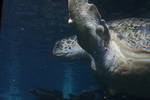 Sun May 11 14:48:06 2008