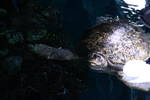 Sun May 11 14:51:18 2008